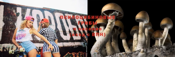 каннабис Алексеевка
