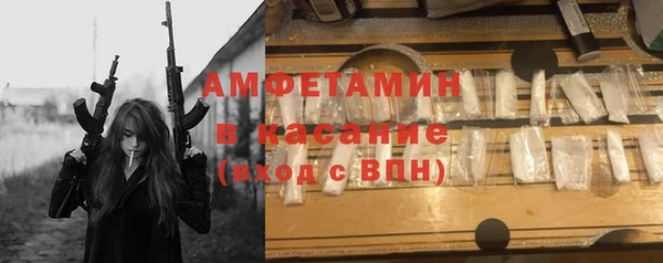 прущие грибы Алзамай