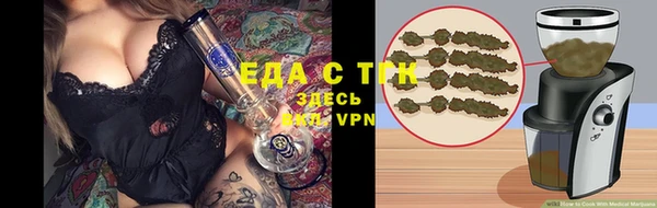 прущие грибы Алзамай