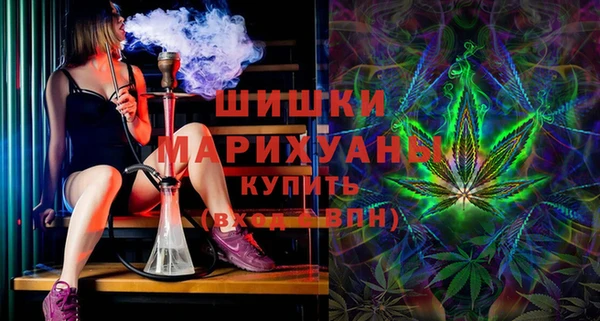 прущие грибы Алзамай