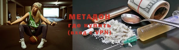 прущие грибы Алзамай