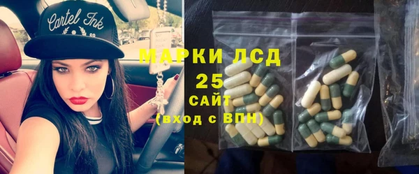 прущие грибы Алзамай