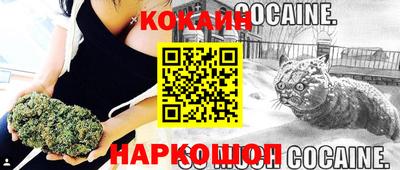 молекула духа Бердск