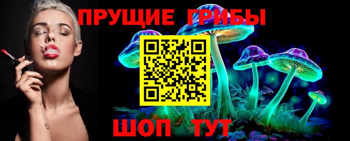 Псилоцибиновые грибы GOLDEN TEACHER Асино